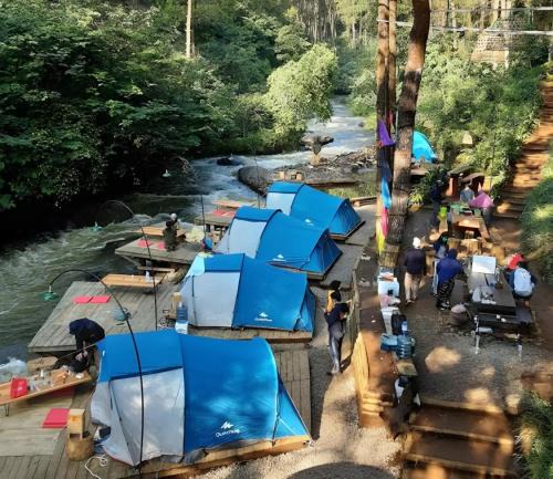 Pangalengan Other | Camping hutan pinus singkur rahong