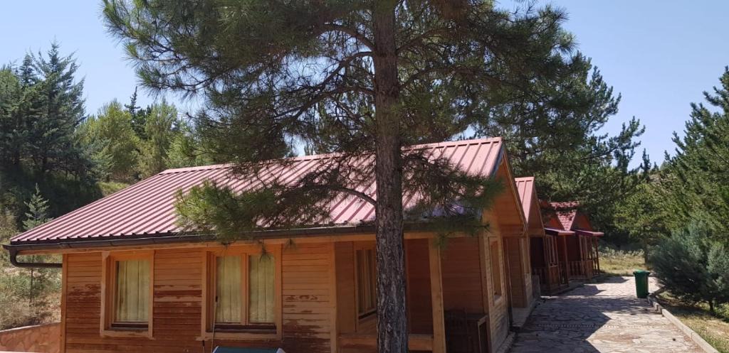 Martin del Rio Other | Camping las cabañas