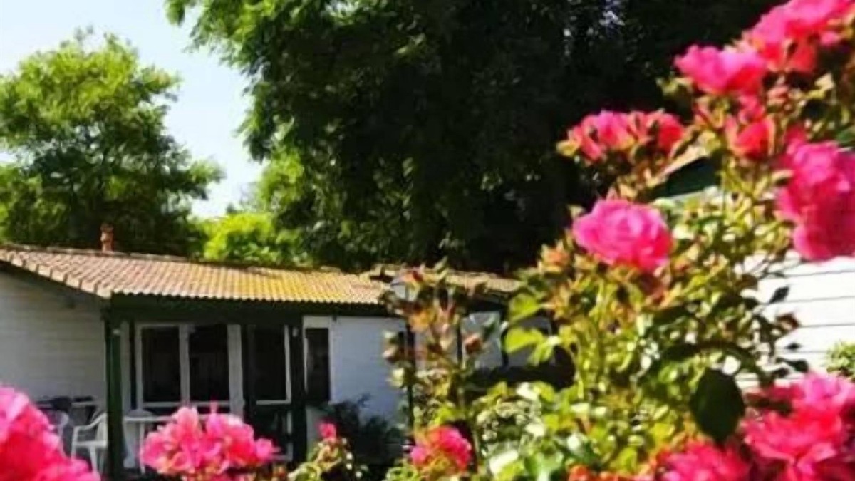 Saint-Georges-d'Oleron Ski Chalet | Camping Les Gros Joncs ***** - Chalet for 4 People