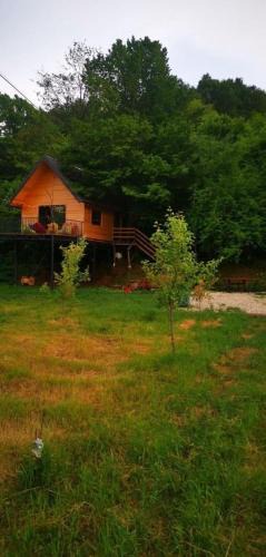 Pleshinë Villa | Camping & RV Park set up your tent Treehouse