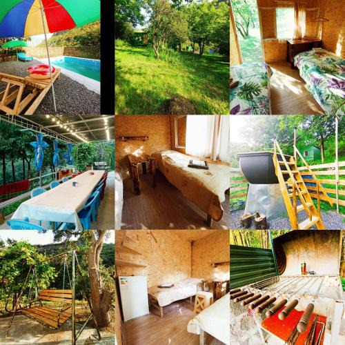Armenia Other | Camping Three poplars by VL