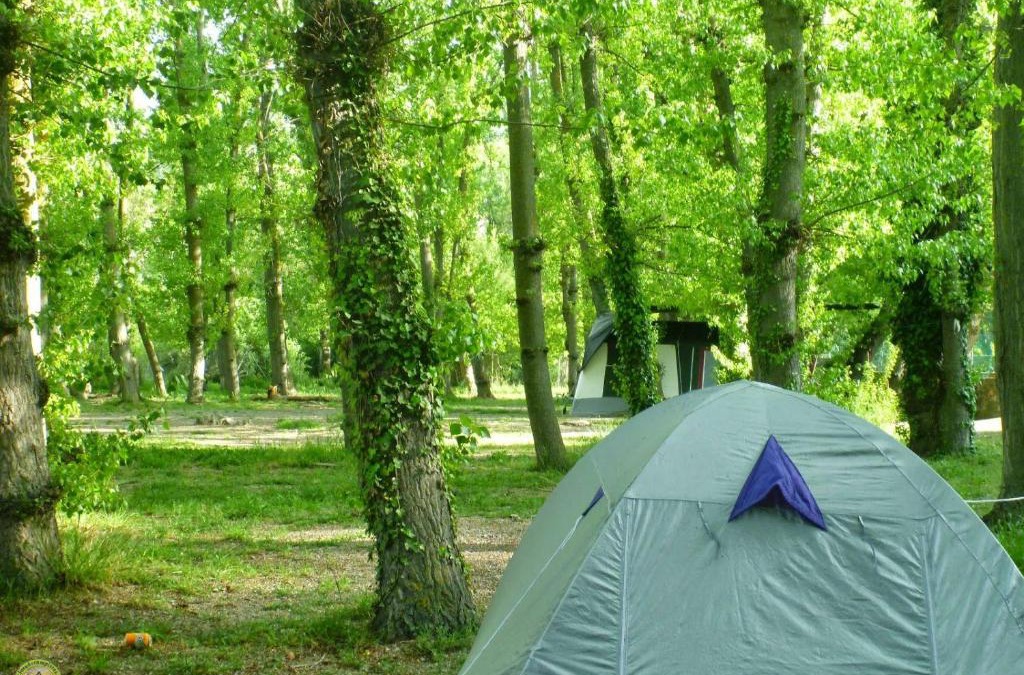 Fondon Other | Camping Valle del Andarax