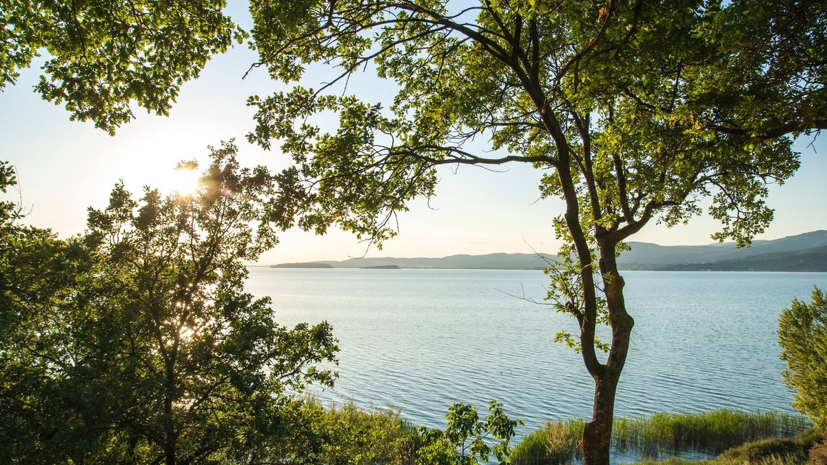 Monte del Lago RV Rental | Camping Villaggio Cerquestra