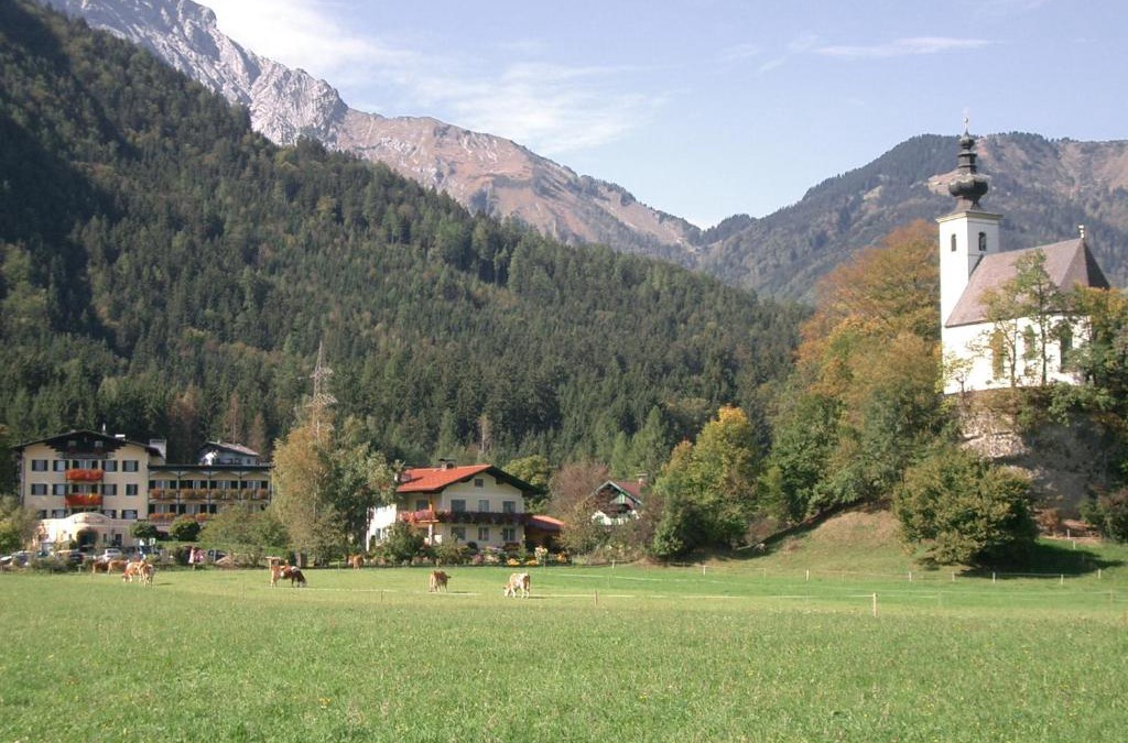 Golling an der Salzach Other | Campingplatz Torrenerhof