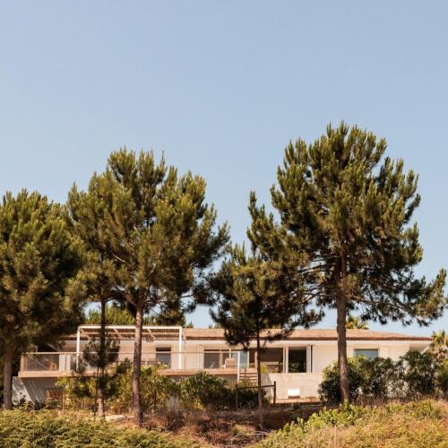 Carvalhal Villa | Campo de Arroz