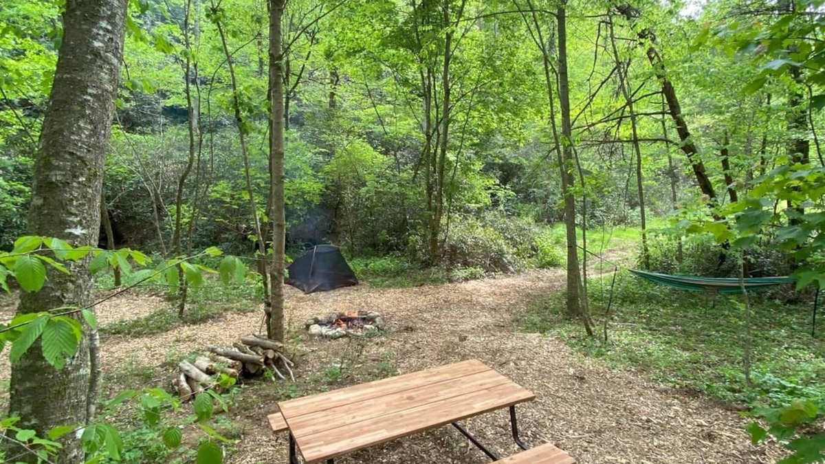 Zirconia RV Rental | Campsite 2 - Creekside on 38 acres- biking and hiking trails