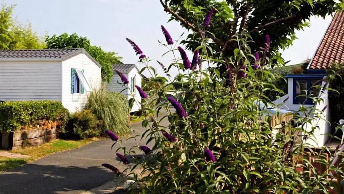 Kokotia House | Campsite Duna Munguy* - 3 room Family mobile home for 5 people