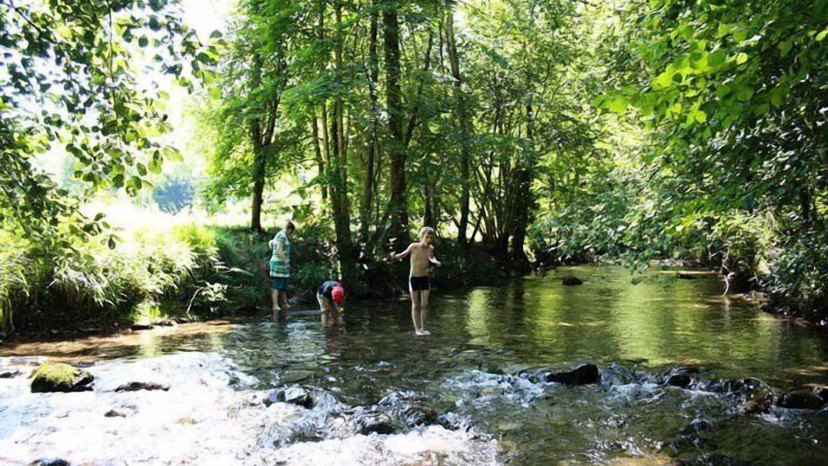Montels House | Campsite Flower L'Arize * - Chalet Bois 4 Rooms 6 People