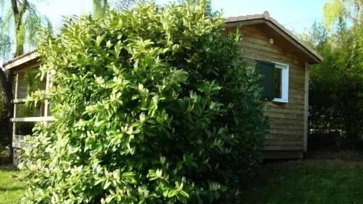 Darbres Ski Chalet | Campsite Les Lavandes * - Chalet ROMARIN basic + 5 people