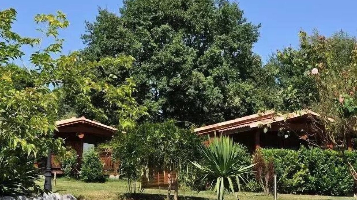 Montrejeau Ski Chalet | Campsite Midi Pyrenees * - Chalet 1 bedroom 2 people