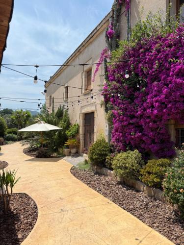Riudarenes Apartment | Can Masferrer