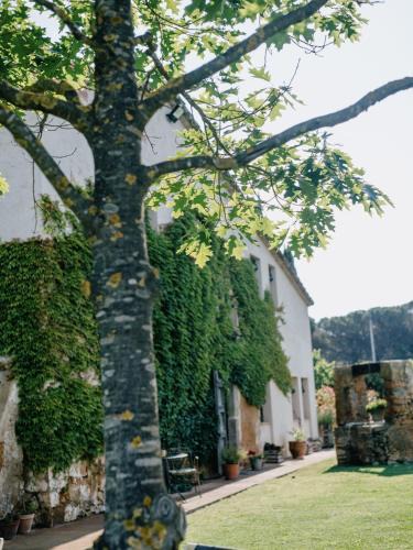 Llagostera House | Can Serrà 1786