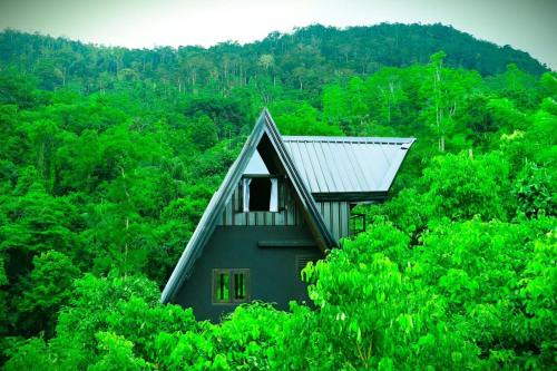 Kotapola Cabin | Cannelle Hill Cabanas