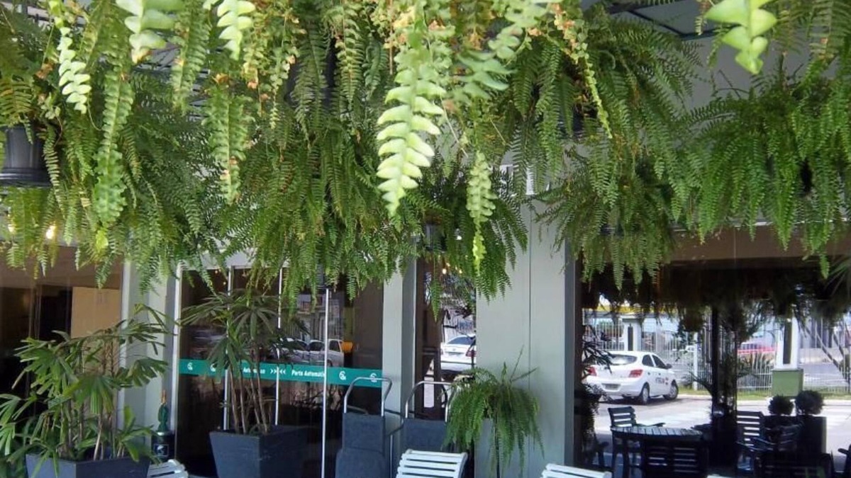 Igara Hotel | Canoas Parque Hotel