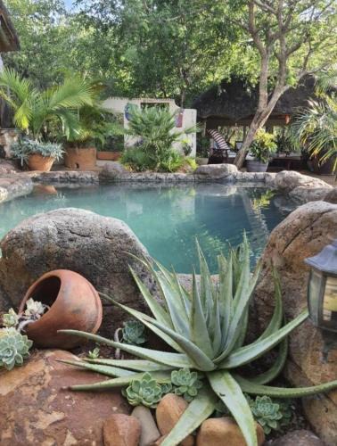 Hoedspruit Villa | Canyon guest villa