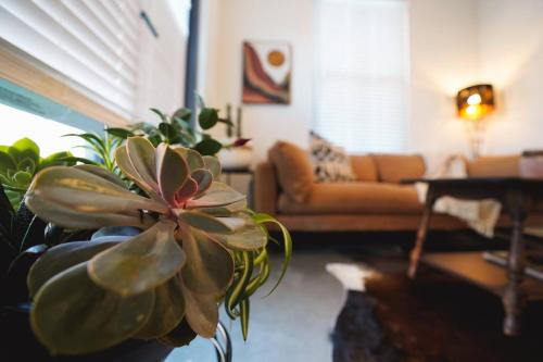 East Lawrence Apartment | Canyon Stop