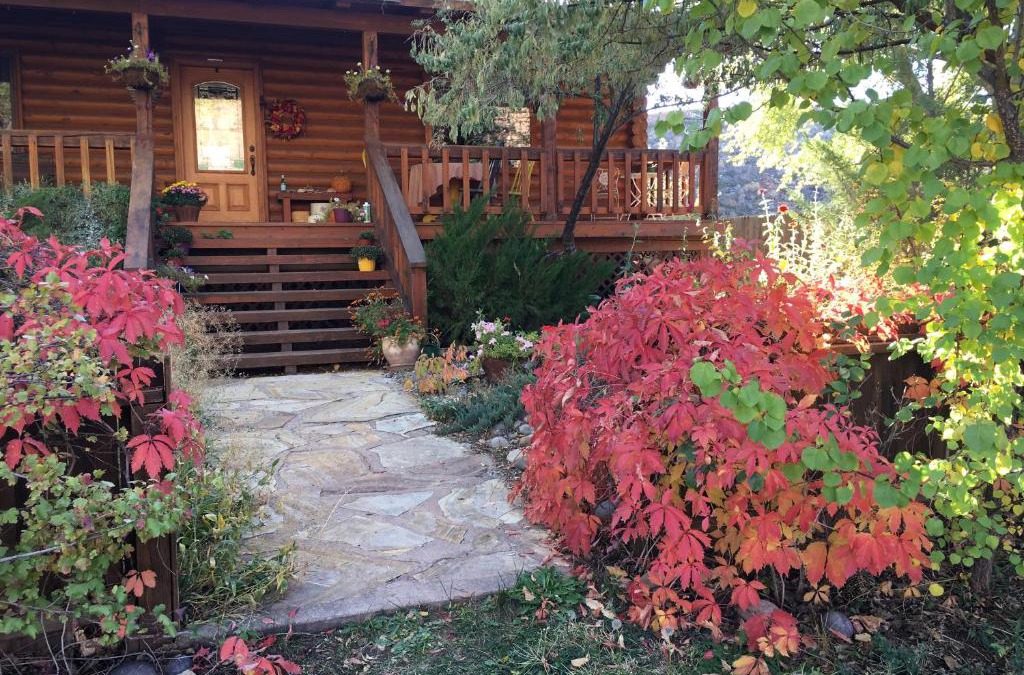 Bluff Bed & Breakfast | Canyon Wren Bed and Breakfast