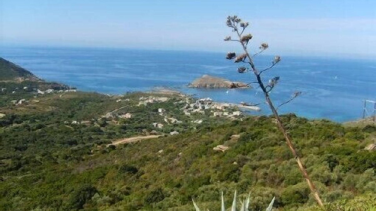 Centuri Apartment | Cap Corse - centuri seaside