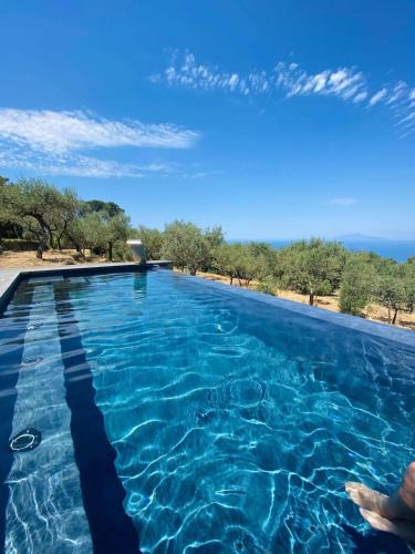Anacapri Villa | “CapriOleum” esclusive place