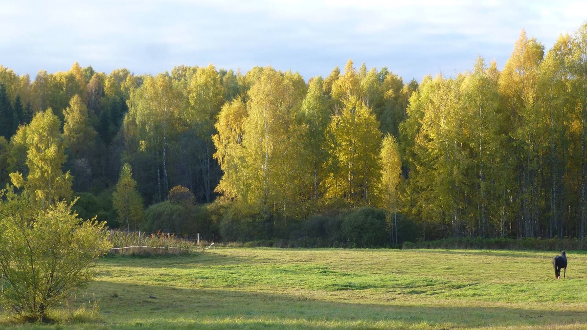 Mikeltornis House | Caravan and campsite in the countryside near the lake and beach