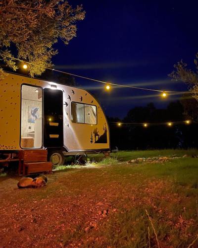 Bademli Other | Caravan Home