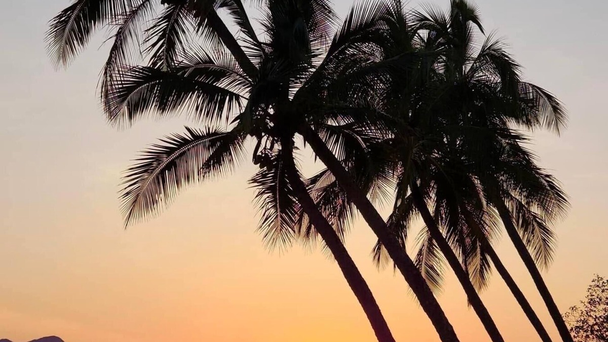 Cardwell Hotel | Cardwell Beachfront Motel
