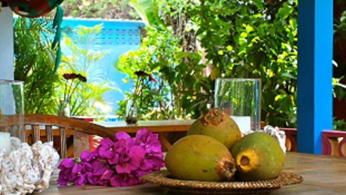 Piscadera Apartment | Caribbean Flower Apartments