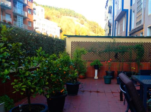 Eibar Apartment | Carmen 7