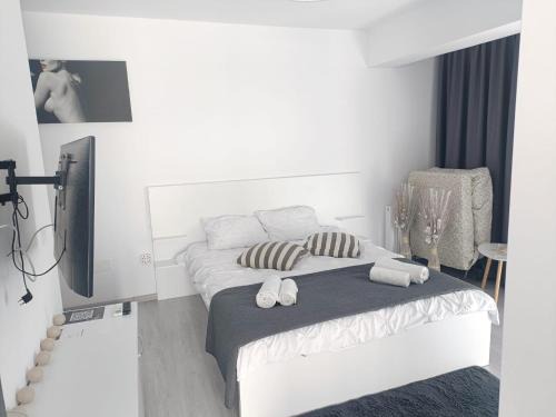 Bragadiru Apartment | Carmen's nest