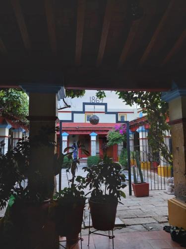 Tlacolula de Matamoros House | Carmenchu