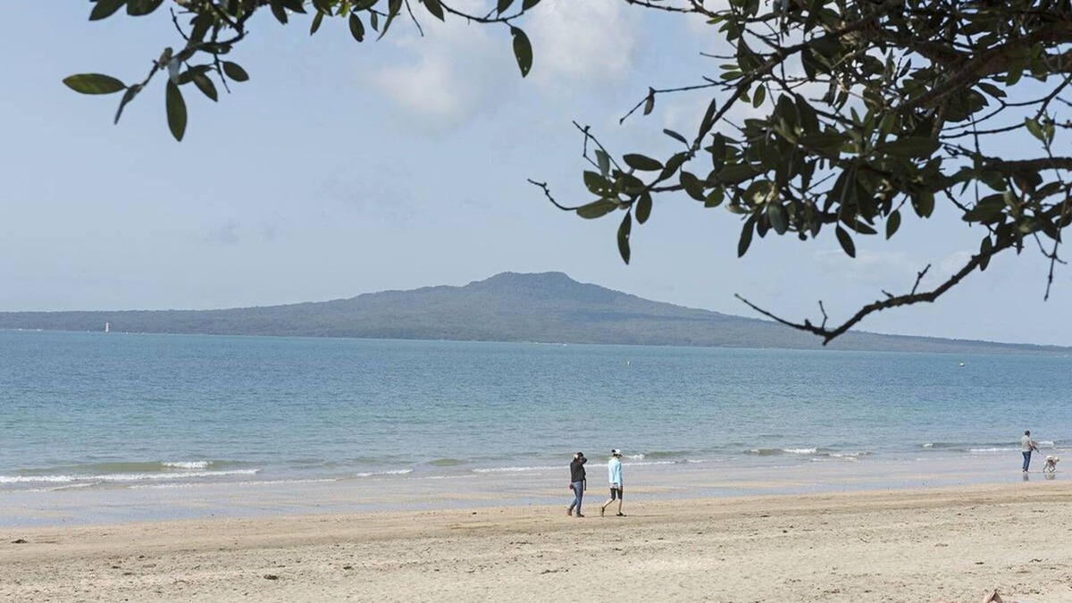 Takapuna Hotel | Carnmore Hotel Takapuna