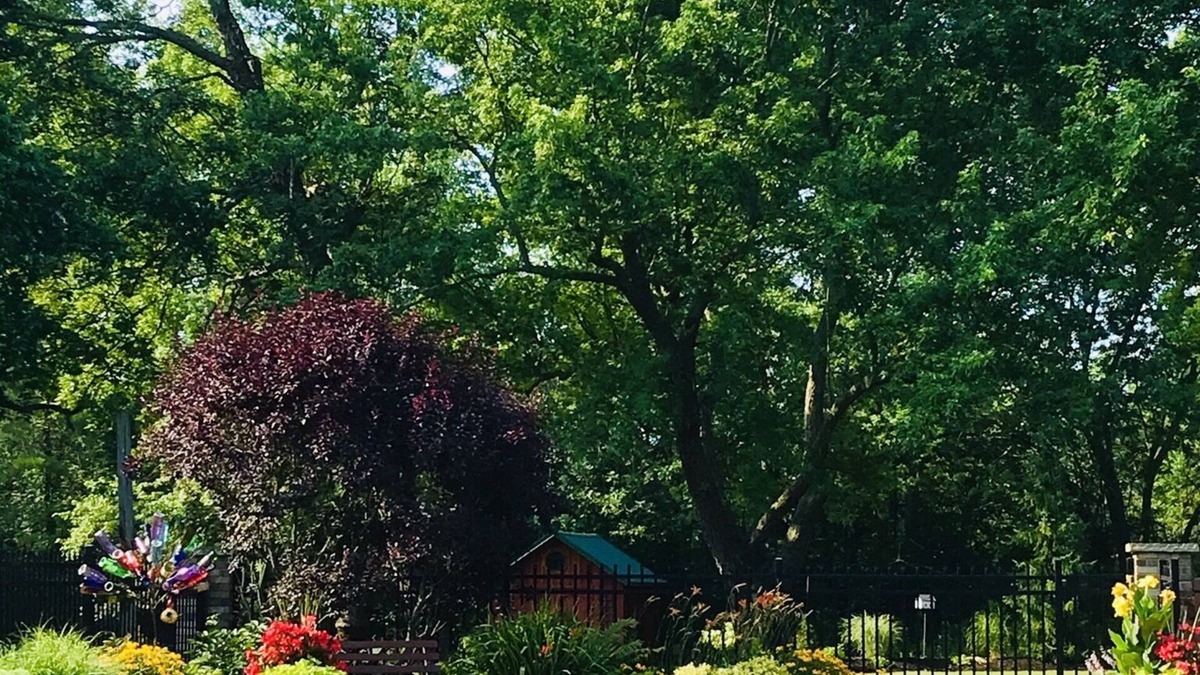 Crittenden House | Carols Country Inn Buffalo,NY
