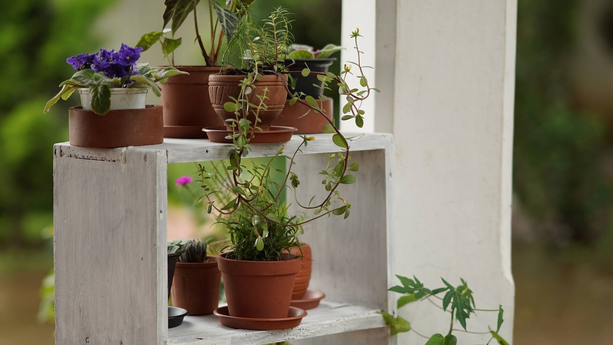 Kushalnagar Villa | Carpe diem stay a holiday home located in the midst of greenery away from town.