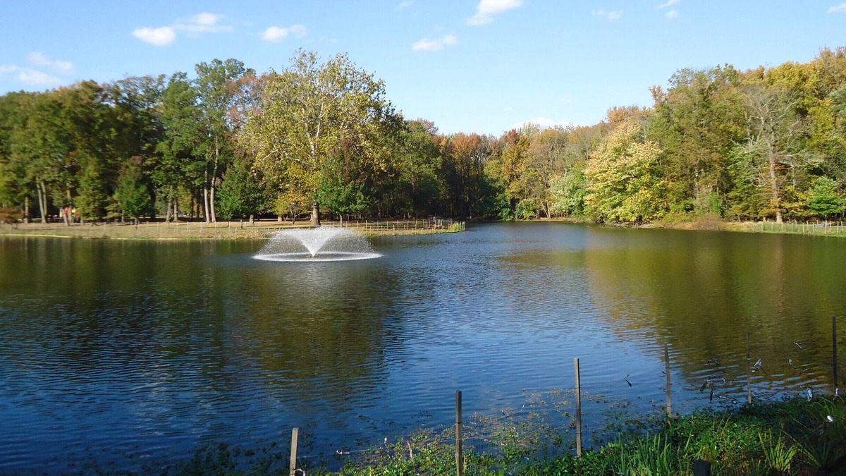 Carteret Hotel | Carteret Getaway! 2 Pet-friendly Units, Free Parking, Onsite Bar, Near The Mills