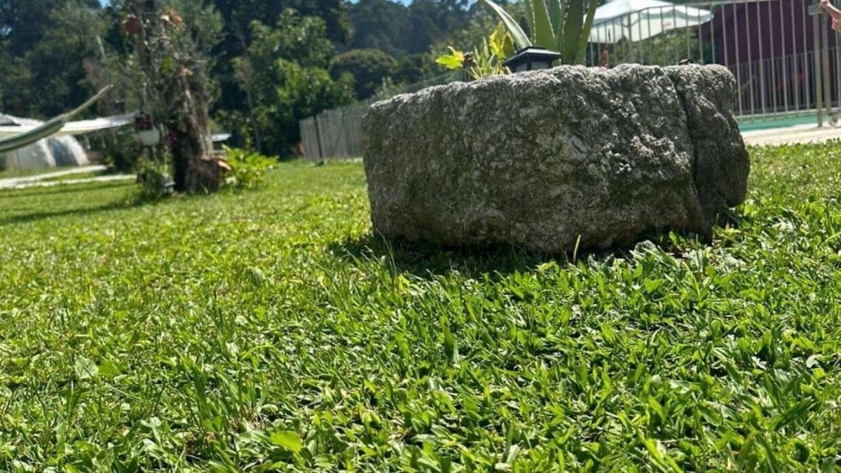 Medelo House | Carvalho Village - No Alojamento o Silencio Mistura-se com a Natureza