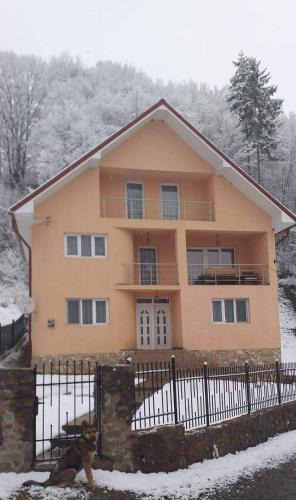 Albac House | Casă de vacanță Lidia