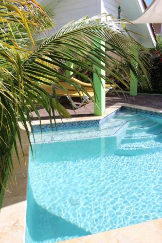 Fontein House | CAS IGUANA - Curacao - Villapark Fontein - Ferienhaus mit Pool