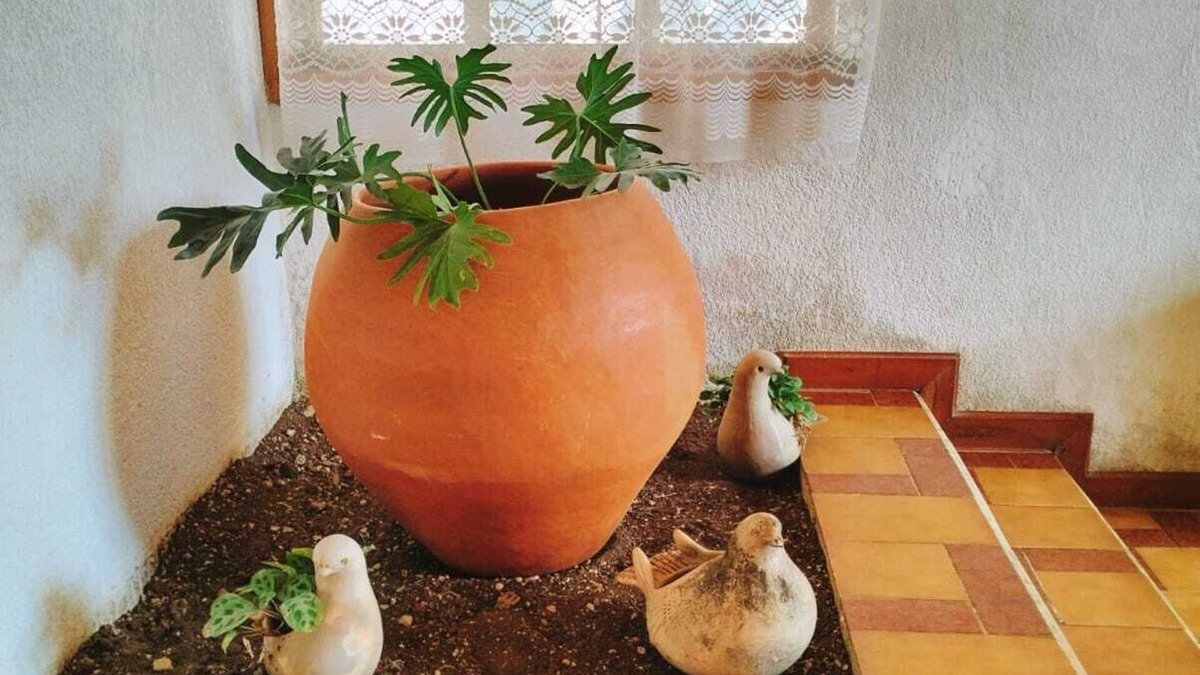San Cristobal de las Casas House | Casa Olvera 3 km from downtown San Cristobal! Ideal for families