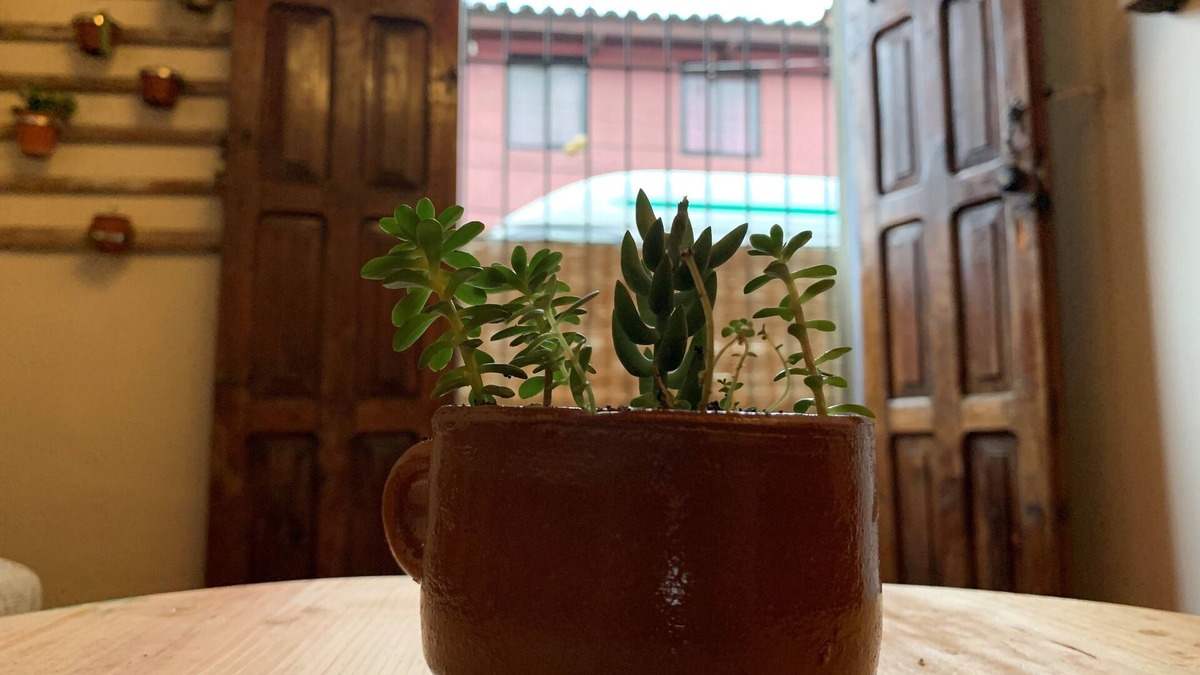 Santa Lucia Apartment | Casa PiYo, near the center