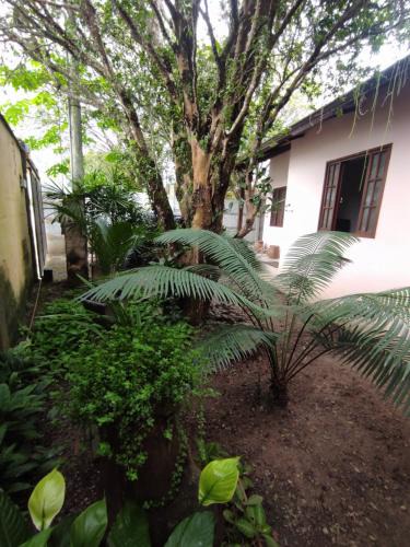 Parque Santo Antonio House | Casa 2 qtos, sendo suíte com cama Queen ar condicionado