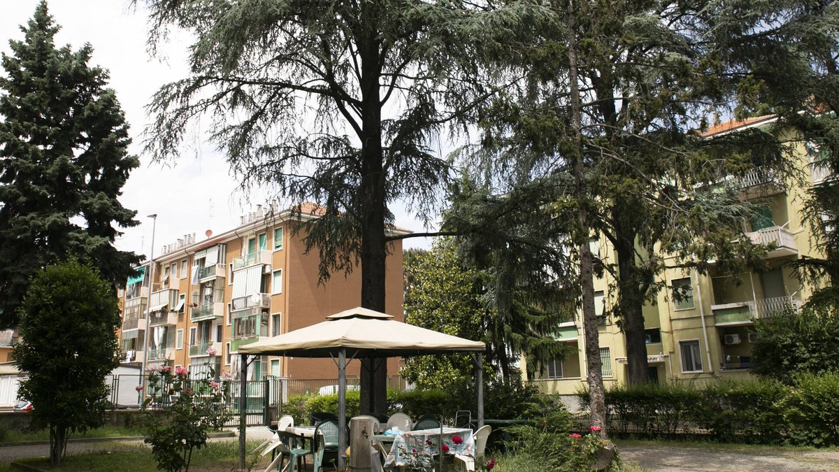 Alessandria Apartment | Casa Abba-2 appartamento