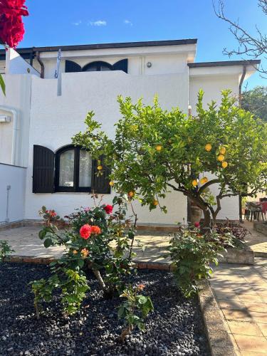 Recanati Apartment | Casa accanto alla spiaggia con giardino e quiete