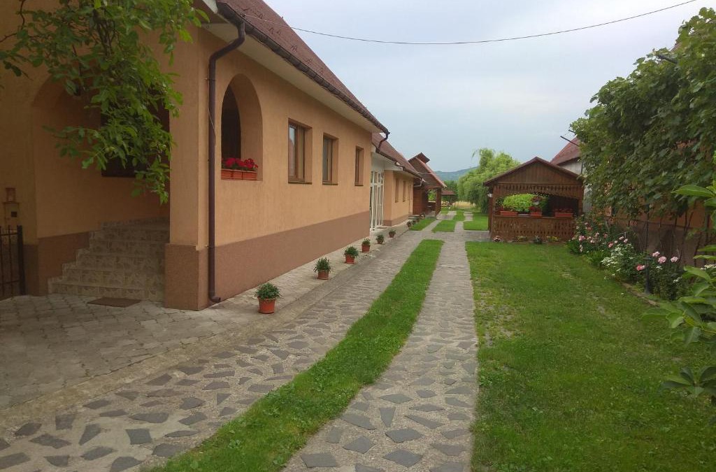 Sapinta House | Casa Adriana