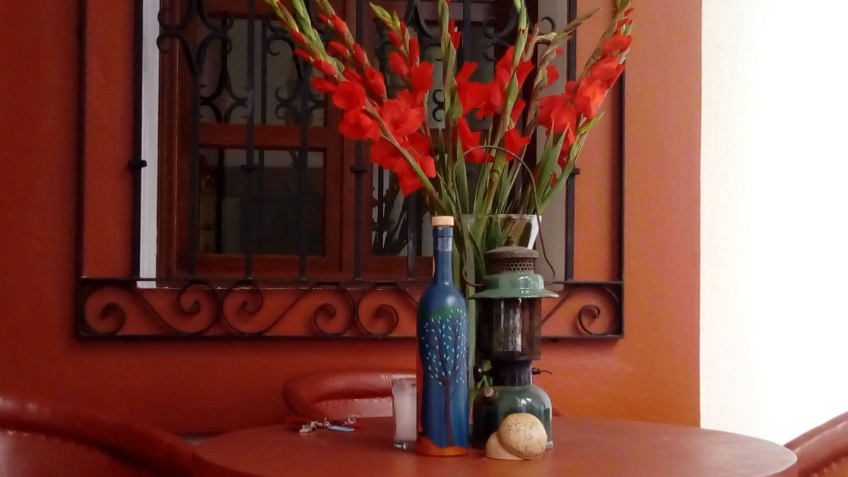 Oaxaca House | Casa Agave/Zócalo & 20 de noviembre market/Entire House 10Rooms 11Bathrooms