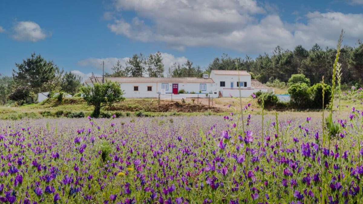 Monte da Vinha House | Casa Alfambras | Holiday Cottage in Aljezur