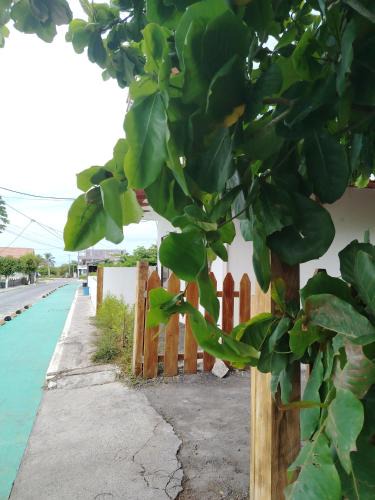 Puerto Villamil Apartment | Casa Almendro