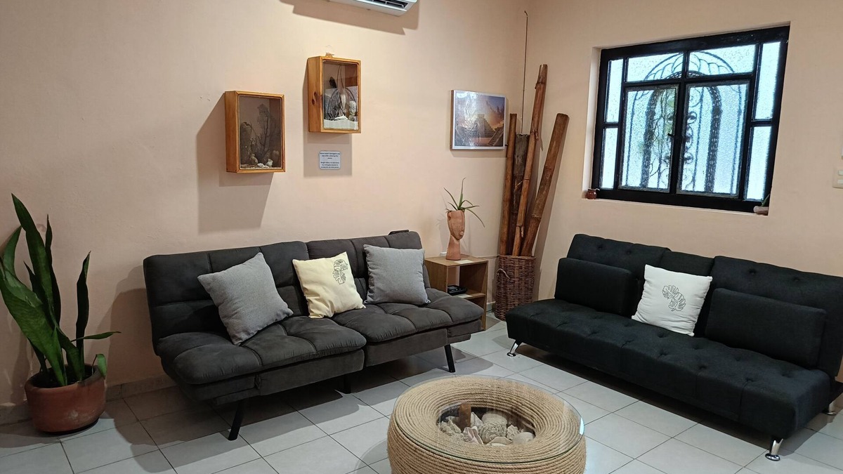 Colonia Independencia Apartment | "Casa aluxes" Apt. spacious & fresh, located downtown, 1 block away from seawall