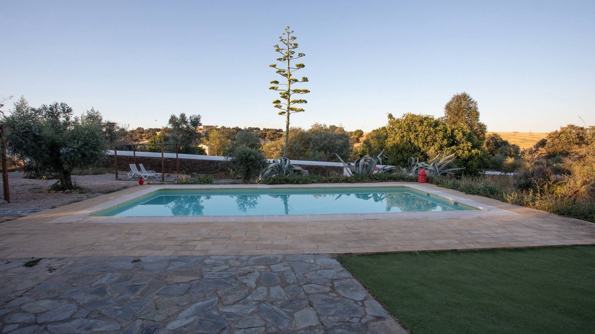 Terena House | Casa AMARELA - inOrganic farm in Terena - Alentejo, Portugal