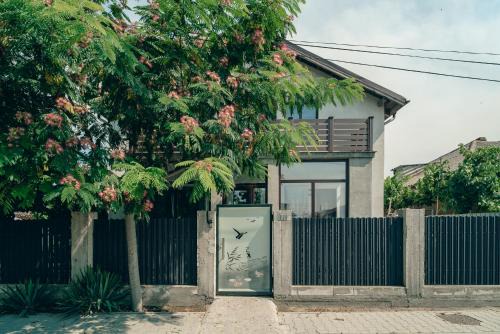 Sulina House | Casa Amina
