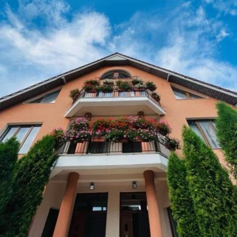 Moneasa Villa | Casa Ana